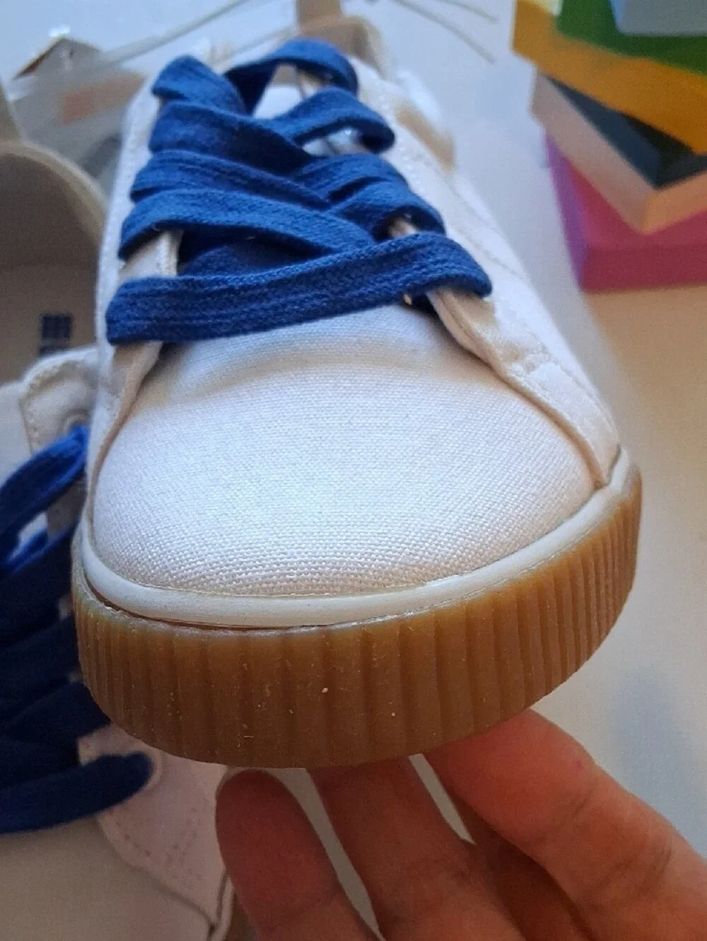 📚✏️Gymboree White Canvas Sneakers with Blue Laces and Gum Sole